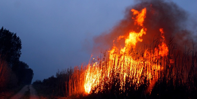 Ya son cerca de 30 mil hectáreas incendiadas
