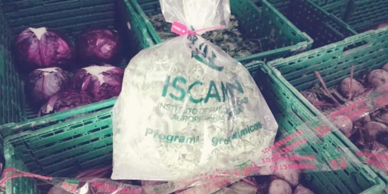 Realizan análisis de residuos de agroquímicos en mercados de fruta de Mendoza