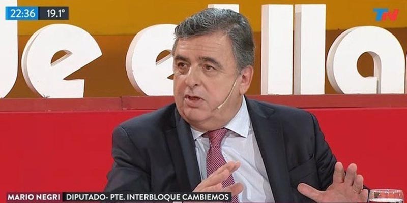 Negri se pronunció a favor del proyecto de despenalización del aborto