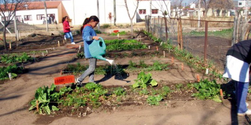 Interesante programa del INTA, “Una escuela una huerta”