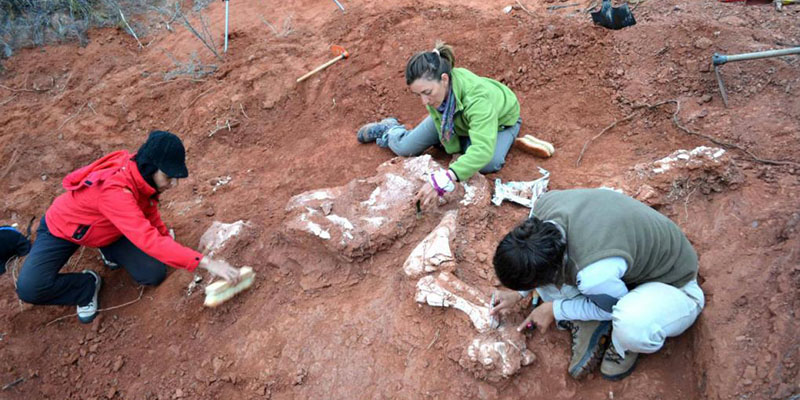 Descubrieron en San Juan restos del dinosaurio gigante más antiguo hallado hasta el momento