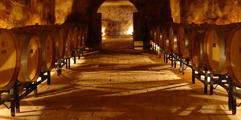 Tratamiento de residuos peligrosos en las bodegas