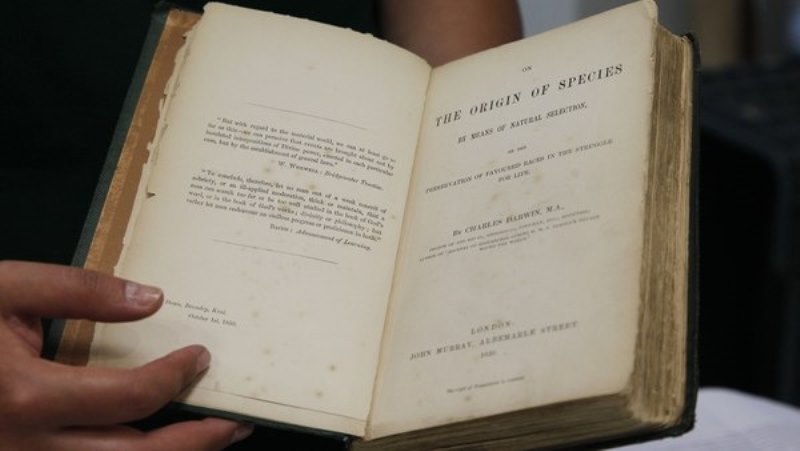 Subastarán en México primera edición de “El origen de las Especies” de Darwin