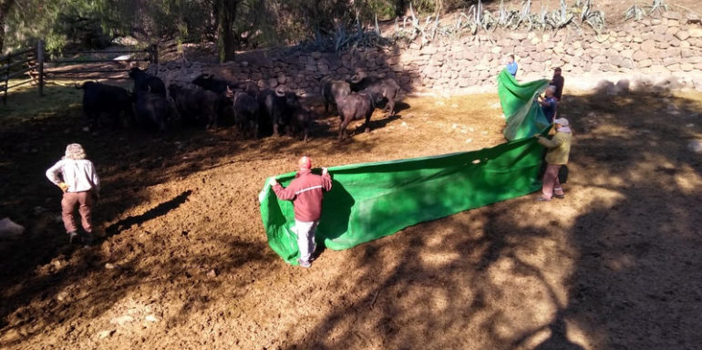 Licitan obras para el Ecoparque y para ampliar red de gas