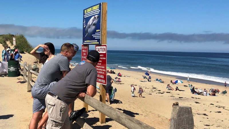 Tragedia en una popular playa de surfistas: un tiburón mató a un joven por primera vez en 80 años