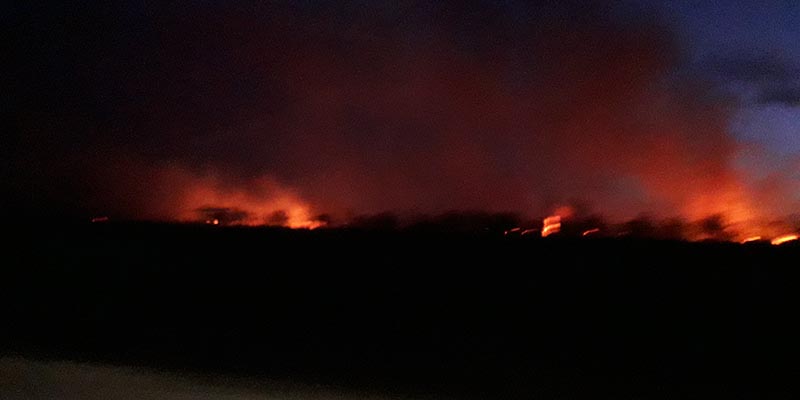 Otra vez los incendios tienen en jaque a la región