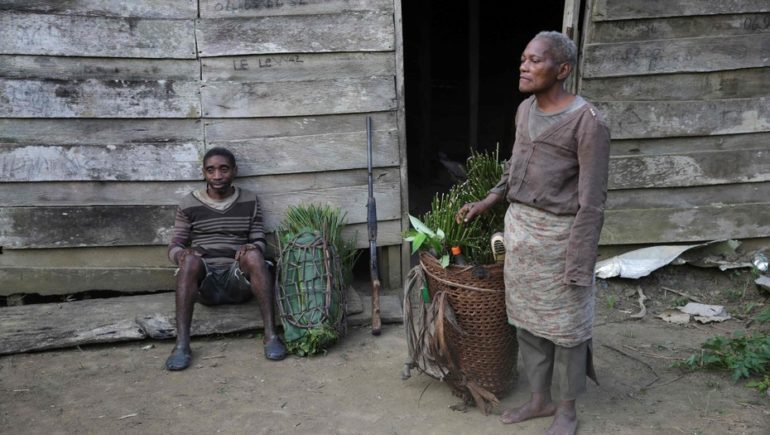 El infierno de los pigmeos de Gabón: viven, pero no existen