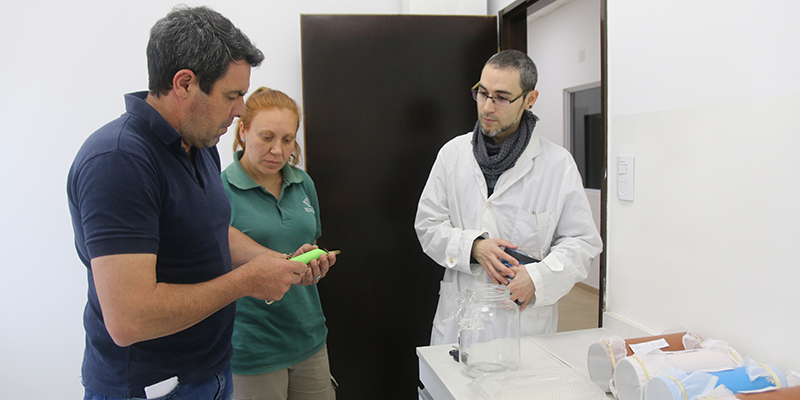 Ugacoop ya produce controladores biológicos