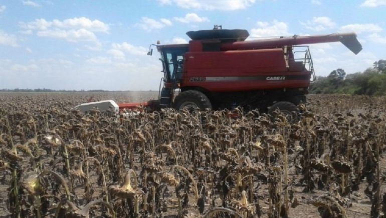 “Las retenciones son un error nefasto”, se quejó uno de los referentes del campo