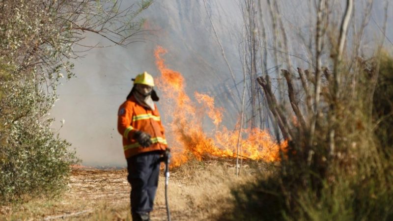 El Gobierno endurece las multas con el fin de evitar nuevos incendios