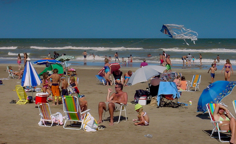 Un alacrán picó a una nena de diez años en una playa de Mar del Plata