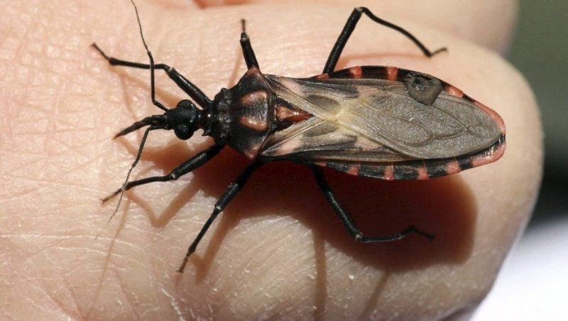 Segunda “Jornada sobre Chagas”