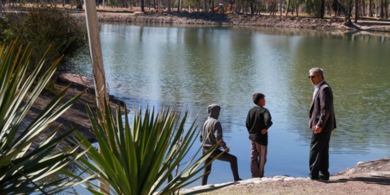 Nuevo circuito turístico: Lago del Parque, Museo de Historia Natural y Paseo de los Artesanos