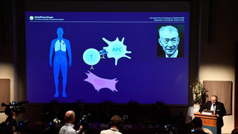 Premio Nobel de Medicina: qué es y cómo funciona la revolucionaria inmunoterapia contra el cáncer