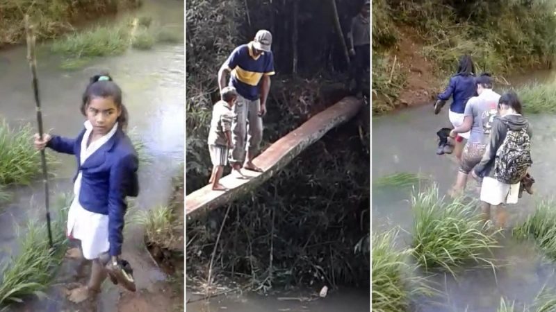 Fuerte apoyo en todo el país para que los alumnos de un pueblo de Misiones dispongan de un puente para ir al colegio