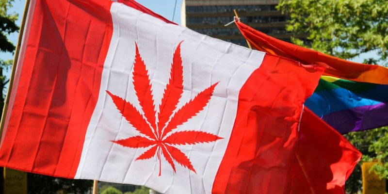 Cómo funciona el sistema que permite desde hoy vender y consumir marihuana en Canadá