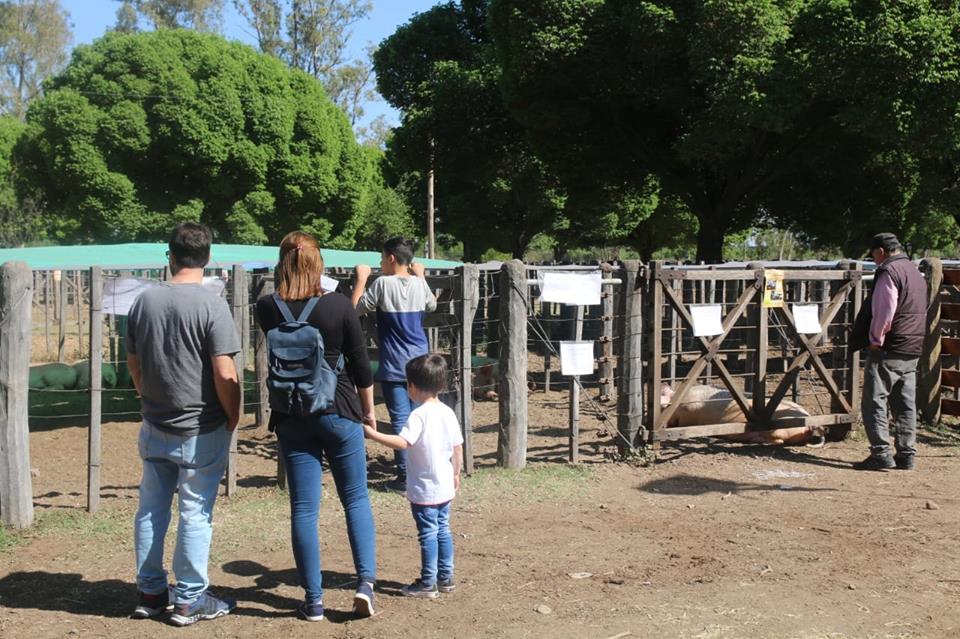 Se realizó una nueva edición de la Expo Cerdo y Granja