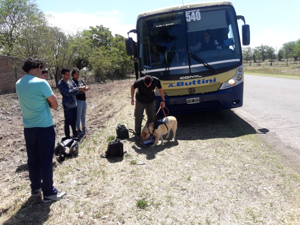 Secuestran 21 frascos de cremas de cannabis