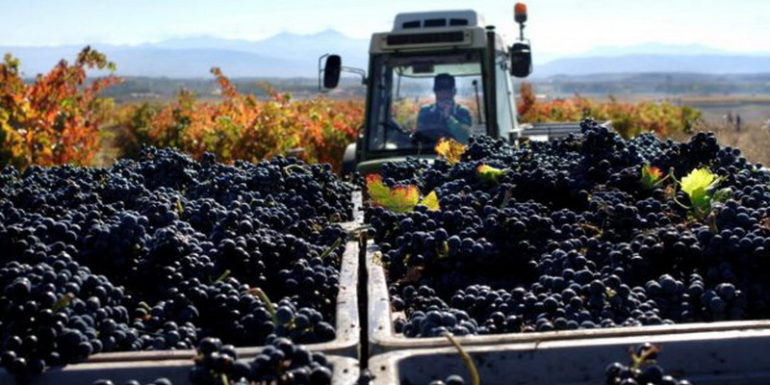 Importantes acciones que aportan al desarrollo productivo de la región