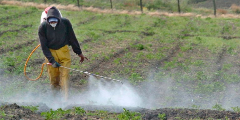 Créditos a tasa 0 para compra de agroquímicosy fertilizantes