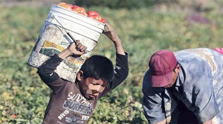 Mesa Regional de la Copreti en el Sur, para eliminar el trabajo infantil