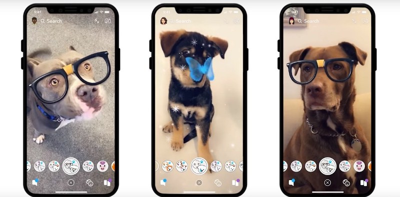 Snapchat no se rinde y lanza filtros especiales para perros y gatos