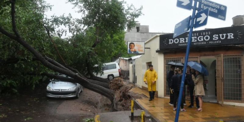 Árboles caídos y cortes de luz: así fue la fuerte tormenta que cayó sobre el Gran Mendoza