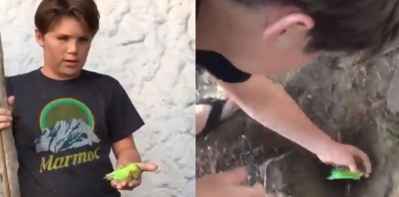 El meme de Netflix, el tuit de Bad Bunny, las redes no paran de hablar de Chimuelo