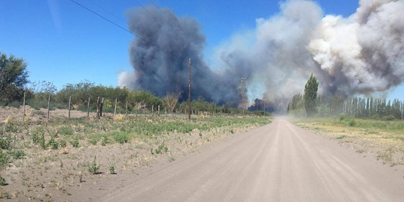 Importante incendio en Ruta 188