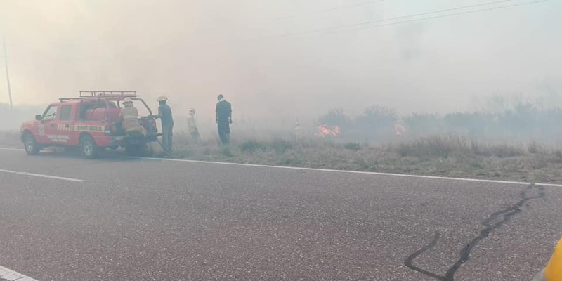 Más de 2500 hectáreas afectadas por el fuego