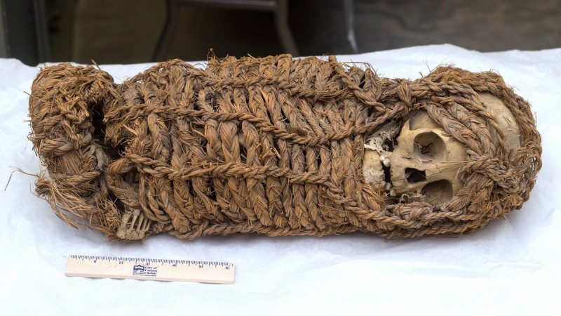 Perú recuperó la momia de un bebé de unos 2.000 años de antigüedad