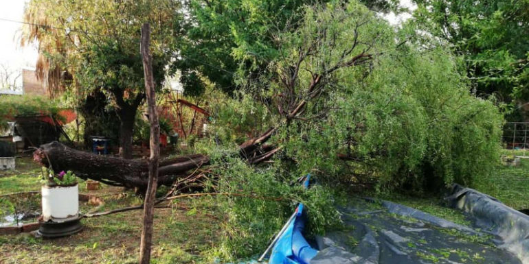 Importantes daños en San Rafael causó la tormenta de este miércoles