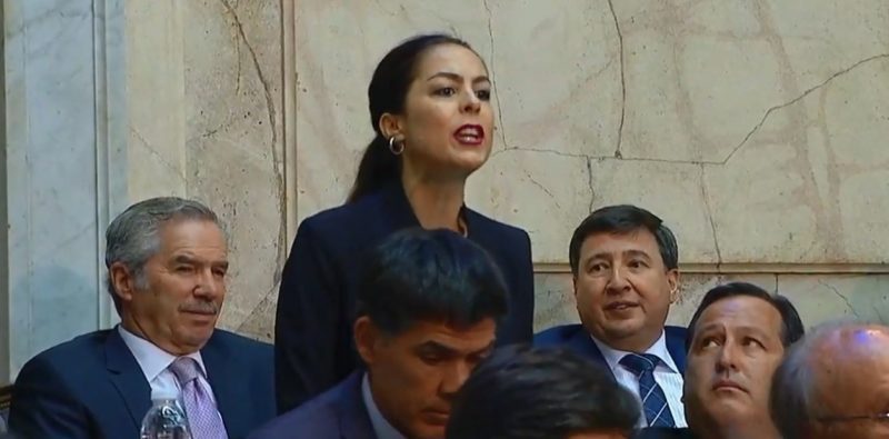 El Gobierno denuncia a Joanna Piccetti, la diputada electa que irrumpió en el Congreso e interrumpió a Macri