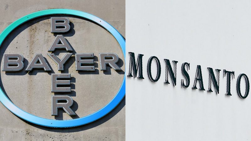 Las acciones de Bayer caen casi el 12% tras el fallo judicial que relacionó un caso de cáncer con un producto de Monsanto