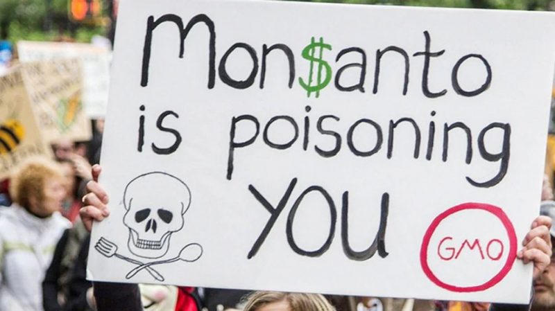 Qué puede pasar en la Argentina tras el fallo en EEUU que sostuvo que un herbicida de Monsanto contribuyó a que una persona enfermara de cáncer