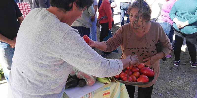 Feria de Productos de Carmensa, una buena alternativa para el doming