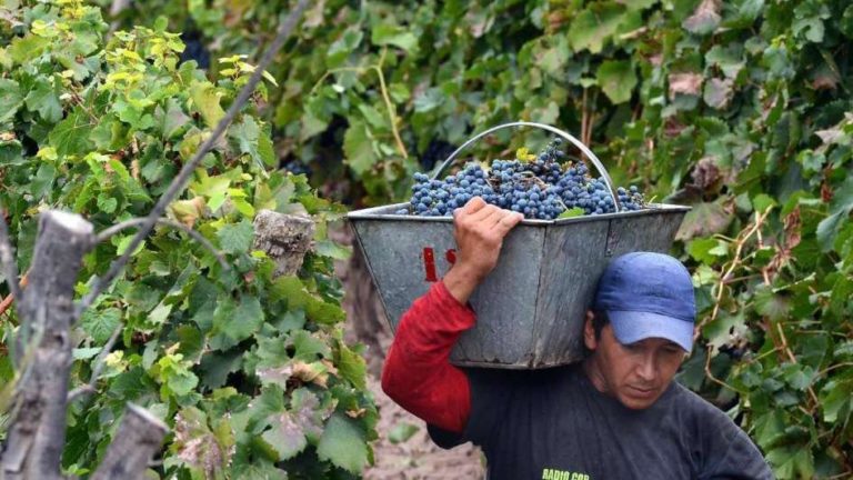 Legisladores Justicialistas apoyaron la creación del fondo Anticíclico
