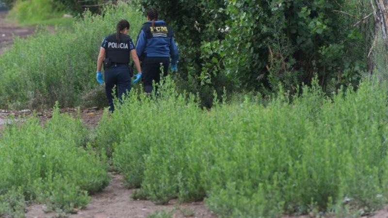 Muertes y misterio: tres mujeres siguen sin ser identificadas