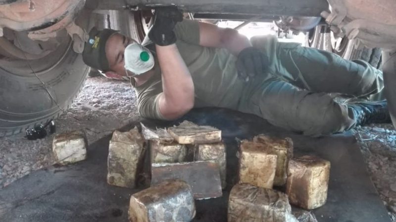 Uspallata: el scanner no pudo pero los perros detectaron 15 kilos de marihuana