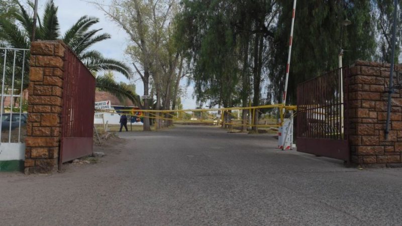 Indignante: robaron en la farmacia de Dinaf y degollaron a una perrita