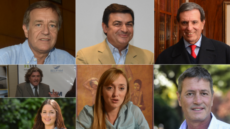 Habrá al menos 7 fórmulas en las PASO provinciales