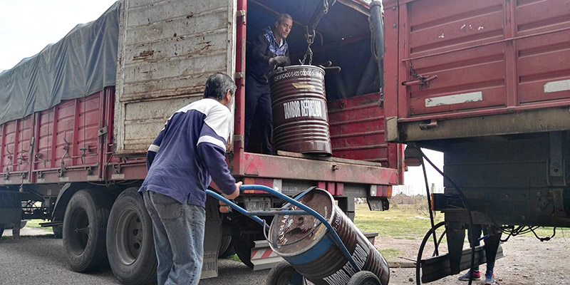 Cooperativa El Chañar continúa exportando