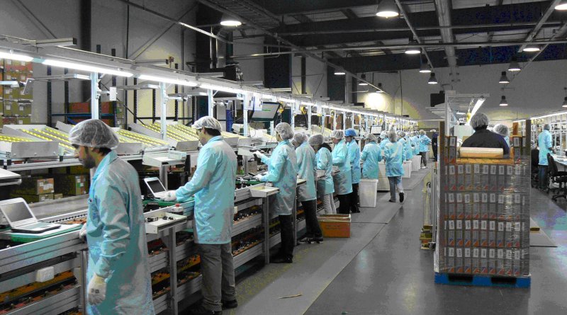 La industria continúa cayendo por la crisis