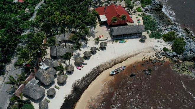 El desastre en México por la marea de algas que invade sus paradisíacas playas