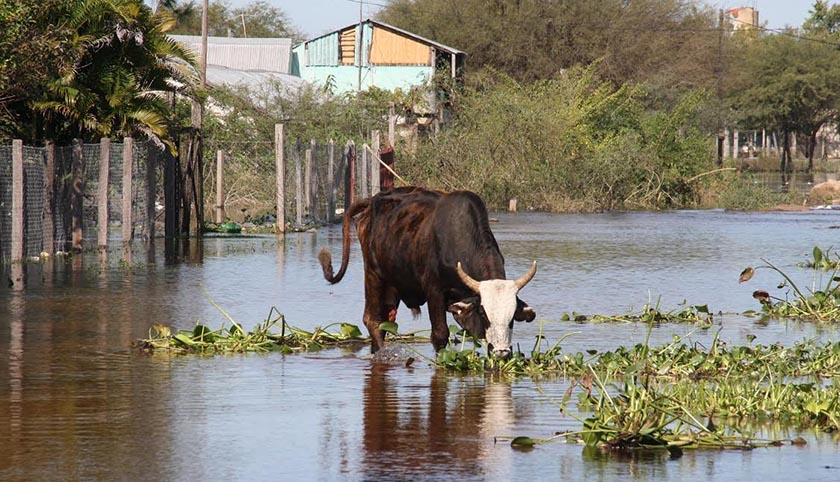 Por las inundaciones, proponen declarar la emergencia agropecuaria en Córdoba, Chaco y Formosa