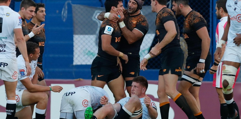 Jaguares sin techo