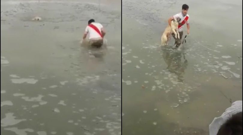 Ar​riesgó su vida para rescatar a un perro que cayó a una laguna congelada de Río Gallegos
