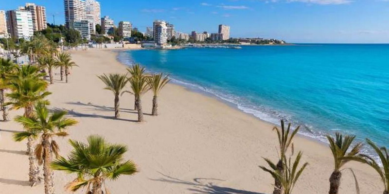 Cierran tres playas en Alicante por la misteriosa mordedura de un pez a dos niños