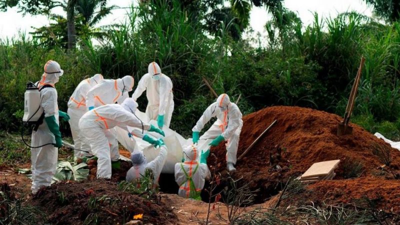 La OMS declaró al ébola como una “emergencia sanitaria mundial”