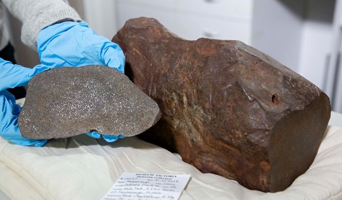 Guardó una roca porque creía que tenía oro dentro: en realidad, era un meteorito de 4.600 millones de años